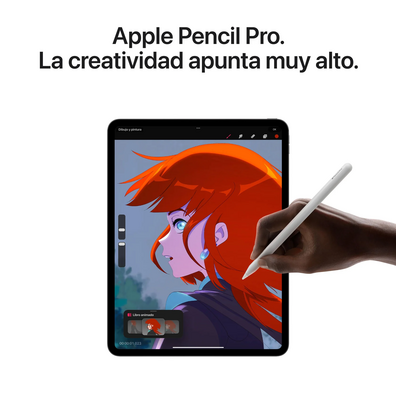 Apple iPad Pro 13 2024 Sétima Wifi / M4/ 256Gb/ Negro Gratuito