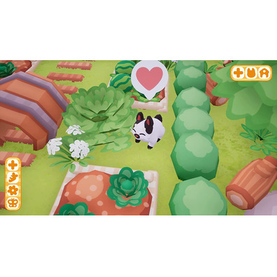 Switch de Bunnypark