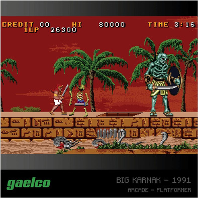 Meia cho Evercade Gaelco Arcade 2