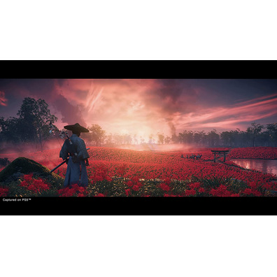 Ghost of Tsushima Director's Cut PS4