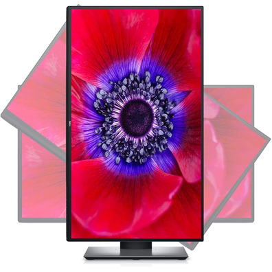 Monitor LED 25 '' Dell Ultrasharp U2520D Negro