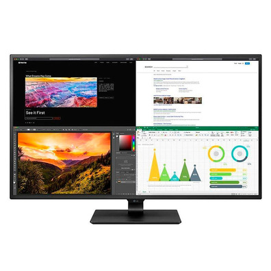 Monitor Profesional LED LG 43UN700-B 42,5 " Multimídia 4K