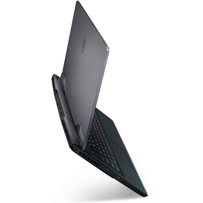 Portátil MSI GE76 10UH (Raider) -061ES i7/32GB/1TB SSD/RTX30 80/17.3 ''