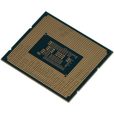 Procesador Intel Celeron 1700 G6900 3,4 GHz