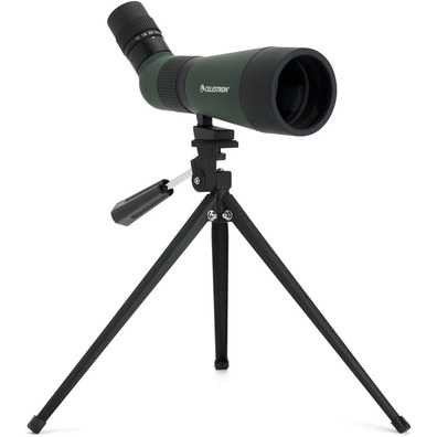 Telescopio Telefone Celestron LandScout 12-36x60 45º