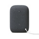 Altavoz Meia Google Nest Audio Carbon