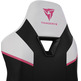 Silla Gaming Thunderx3 TC5 D.Va Rosa