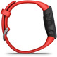 Smartwatch Garmin Forerunner 45 Notificaciones / Frecuencia Beijo Aca/GPS Rojo