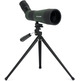 Telescopio Telefone Celestron LandScout 12-36x60 45º