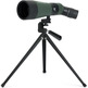 Telescopio Telefone Celestron LandScout 12-36x60 45º