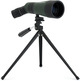 Telescopio Telefone Celestron LandScout 12-36x60 45º